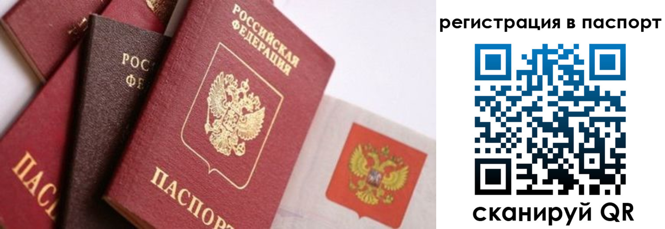 прописка в квартире в Тихорецке